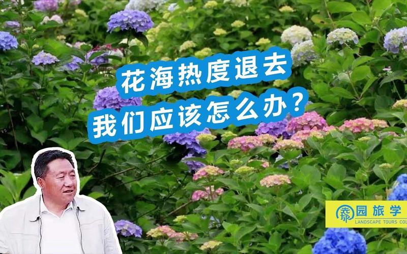 热度退去之后，我们该面对什么