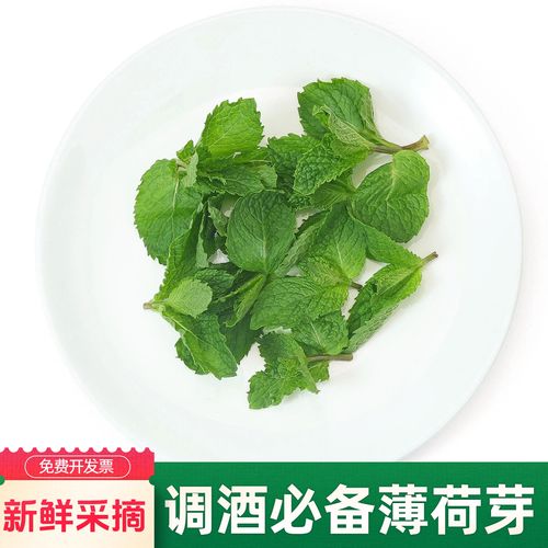 莫吉托鸡尾酒新鲜薄荷叶装饰