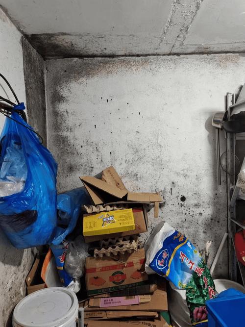 2026年9月北京食品仓储仓库墙面霉变实景