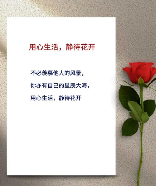 做到静待花开，其实只要做好三件事