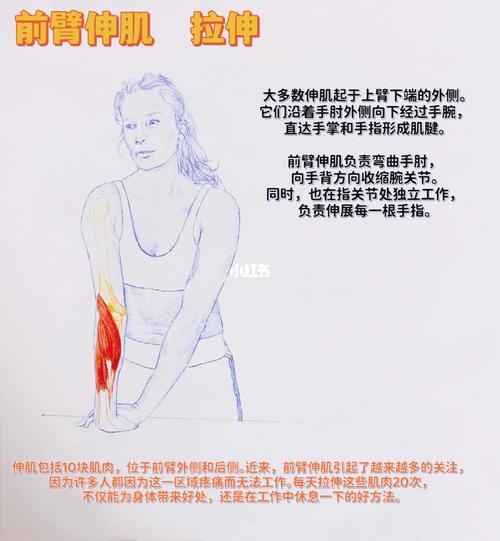 开车等红灯时前臂拉伸动作图