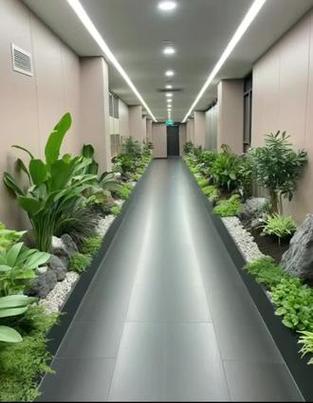 办公室走廊窗边站着看绿植放松