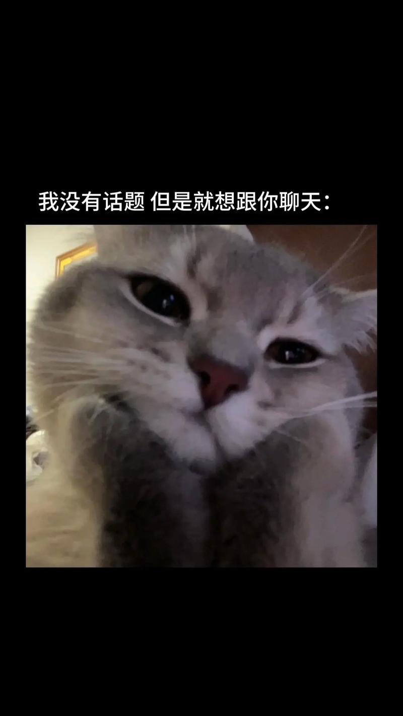 还有几个小细节,忍不住想跟你唠