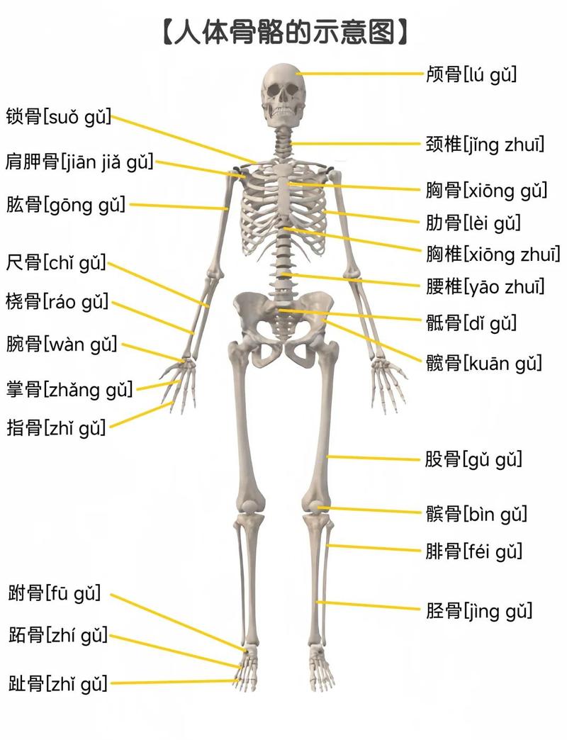 系统集成:最硬的骨头,也是最大的坑