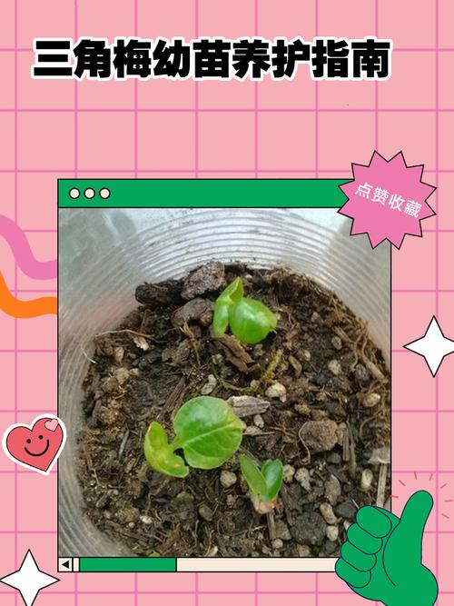 🌱 环保与功能，怎么避坑？