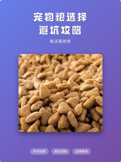 除了选粮,这些喂养误区比选错粮还坑