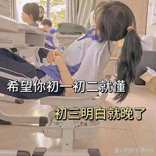 衬板材料学问深,一不小心就交学费