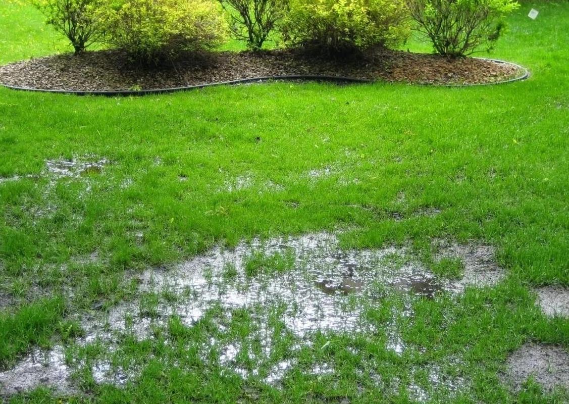 小区雨后水土流失草坪实拍