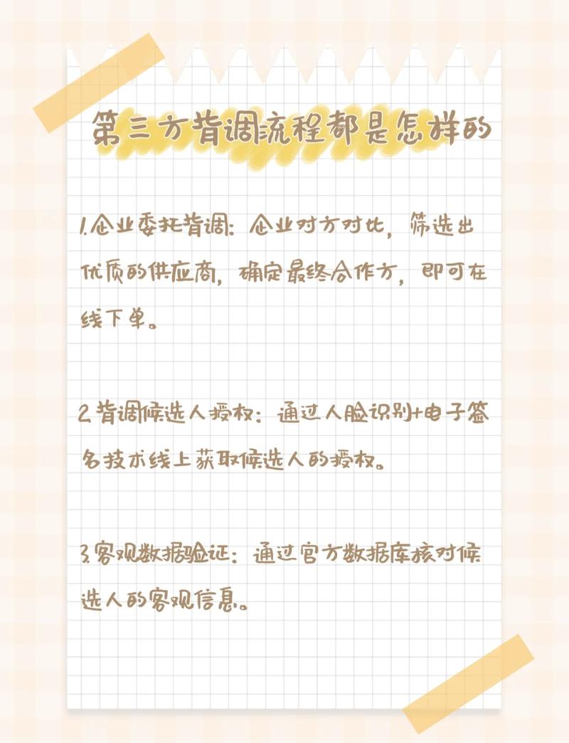 GEO服务商企业资质背调步骤图