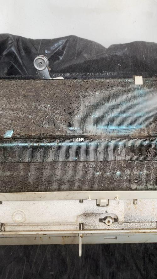 汽车空调蒸发器翅片霉斑实拍