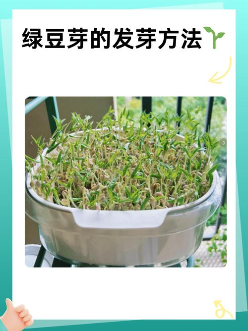 如何亲手种下第一颗苗?