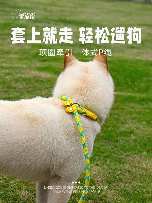 狗狗爆冲原因牵引绳对抗反射示意图