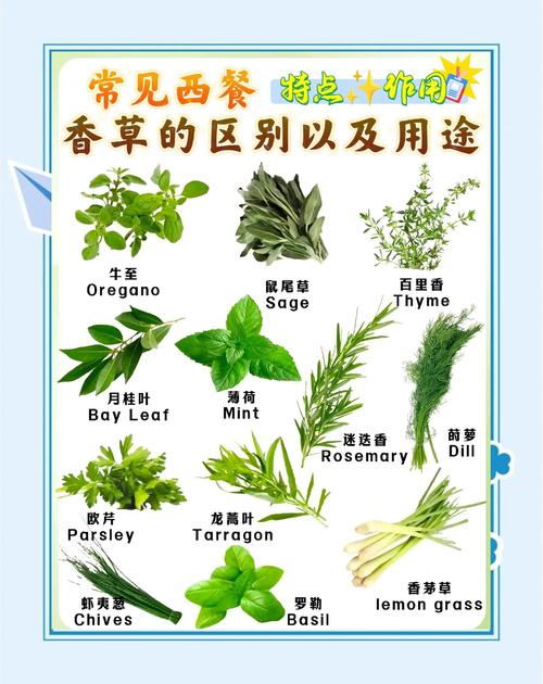 注意了,不是所有人都适合玩香草