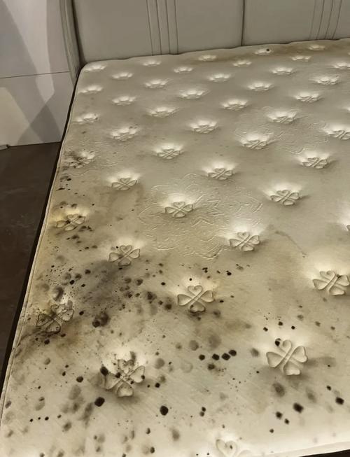 梅雨季出租房发霉拼接地垫实拍