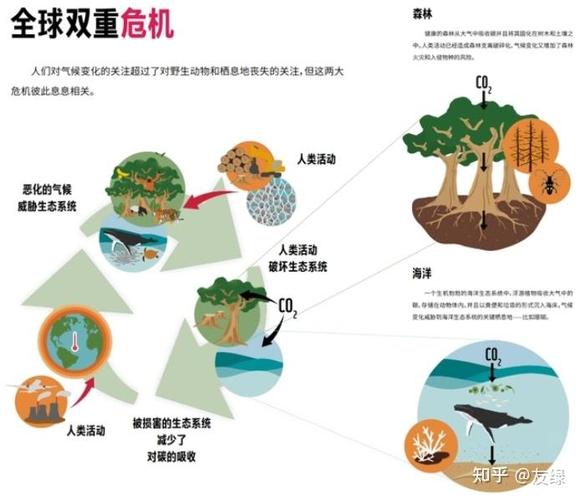 你以为的减碳,和机床实际吐出来的碳,差了十万八千里