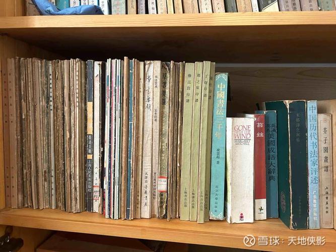 网红顶天立地架塞不下大开本旧书实景