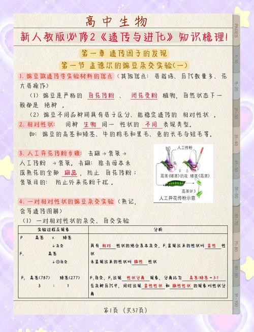 一份合格的遗传特征记录，要包含哪些核心内容？