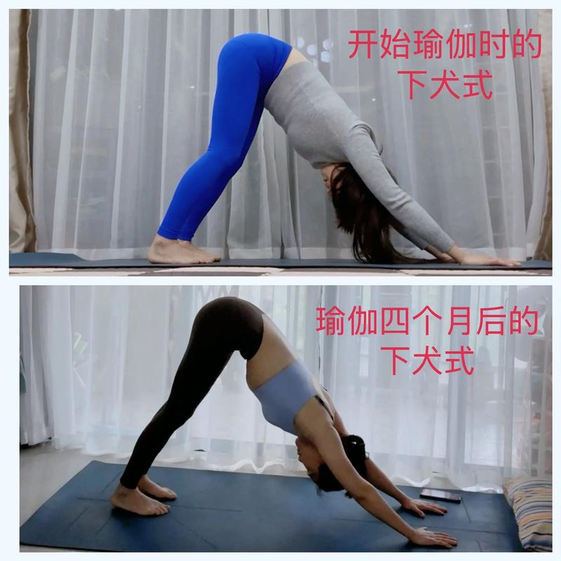 瑜伽下犬式正确与错误姿势对比图
