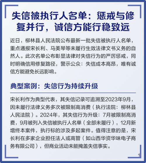被执行人名单公示与失信惩戒措施