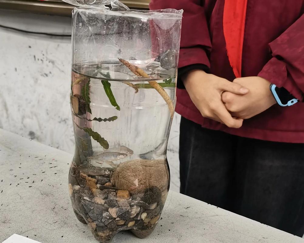 教师引导学生用塑料袋制作生态瓶观察蜗牛
