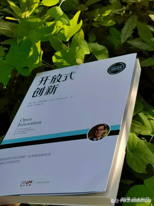 开放式创新不是“拿来主义”，要攥着自己的话语权组队