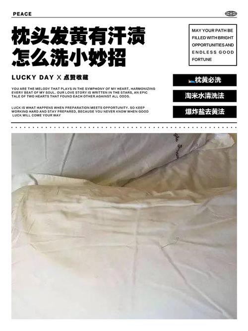 再强调一遍：别等枕头变黄才洗