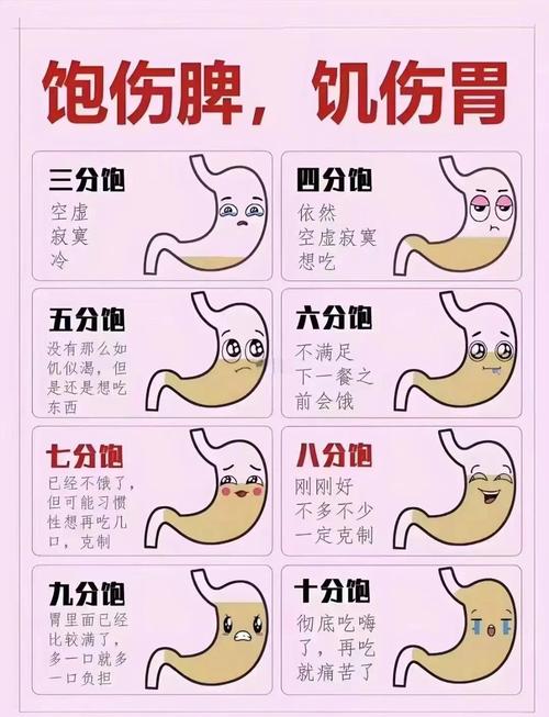 空腹 vs 饱腹状态胃黏膜刺激对比示意图