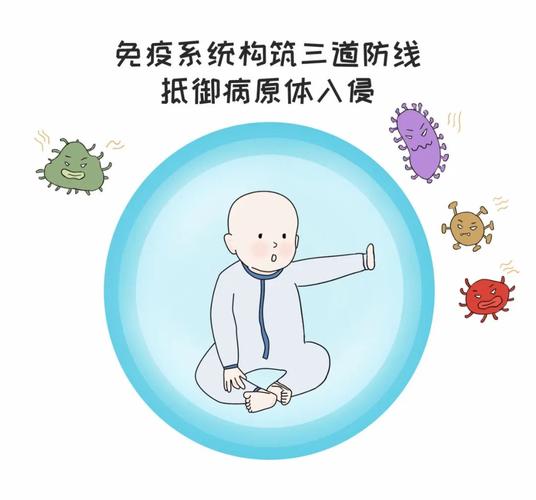 儿童免疫系统发育科普示意图