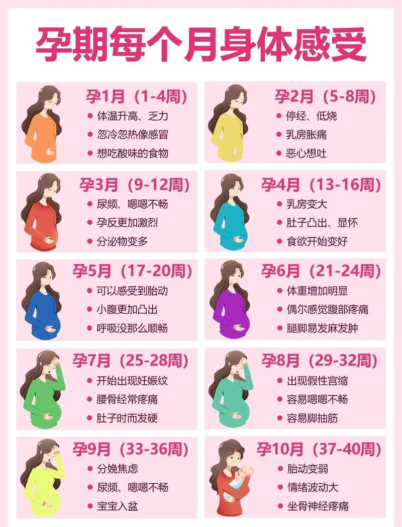 孕期女性铁需求变化对比图
