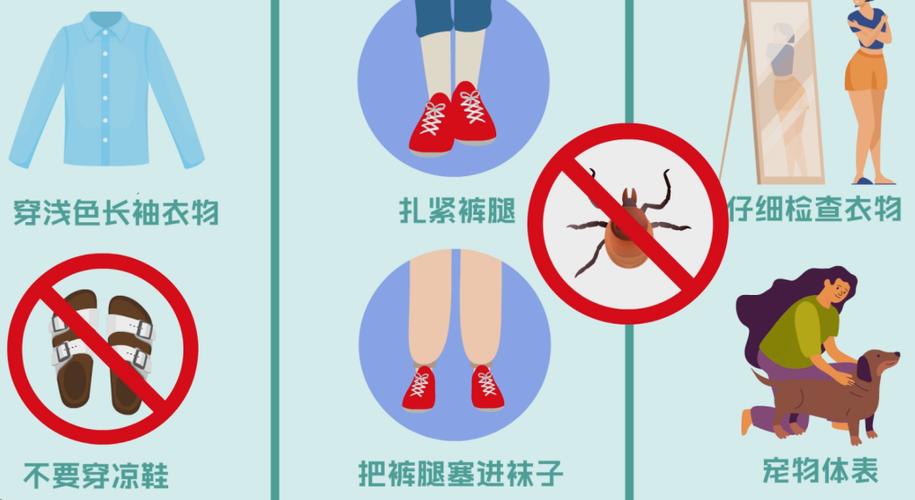 郊外短途出游防蜱虫裤脚扎法示范
