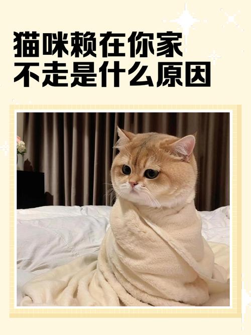 我为什么还赖在这行不走