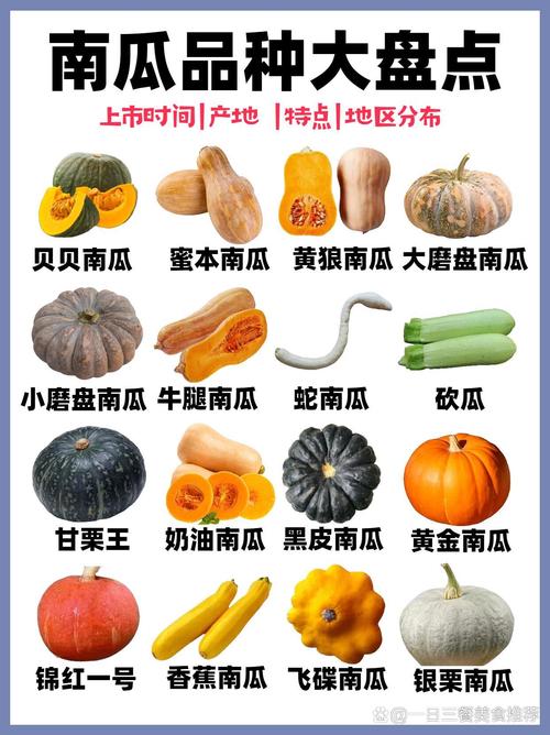 南瓜变形记:你吃的可能根本不是南瓜,但这不重要-因为所以
