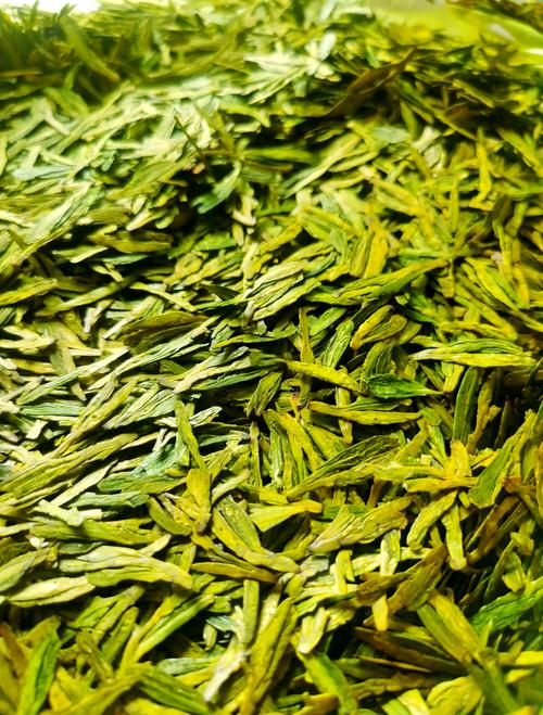 西湖龙井茶叶扁平光滑特写
