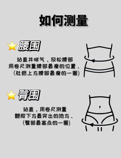 正确腰围测量位置人体示意图