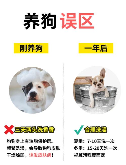 常见家养宠物洗澡频率参考对照表