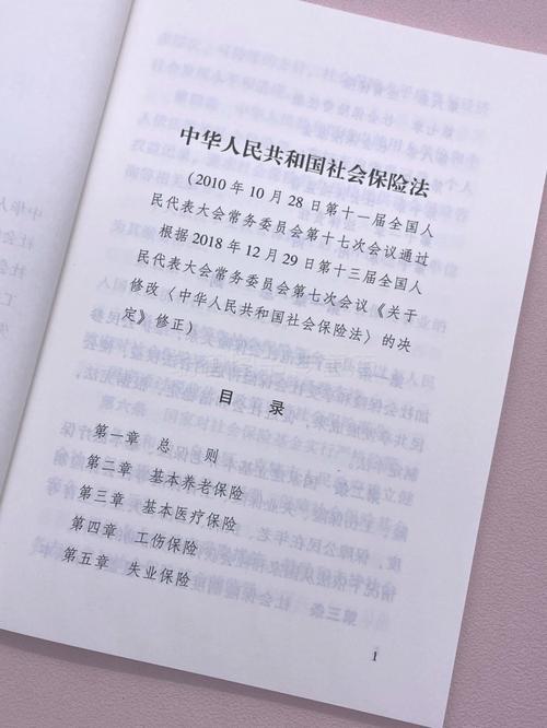 中国社会保险登记条例文本