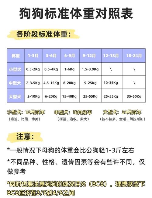 成年犬肥胖与标准体型对比图