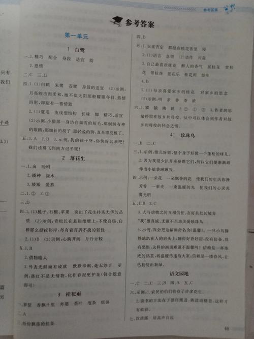 特征片段优化答案格式对比图