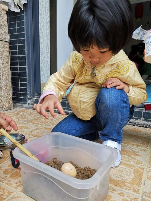 幼儿园小朋友阳台埋虫子搓奶黄包小球
