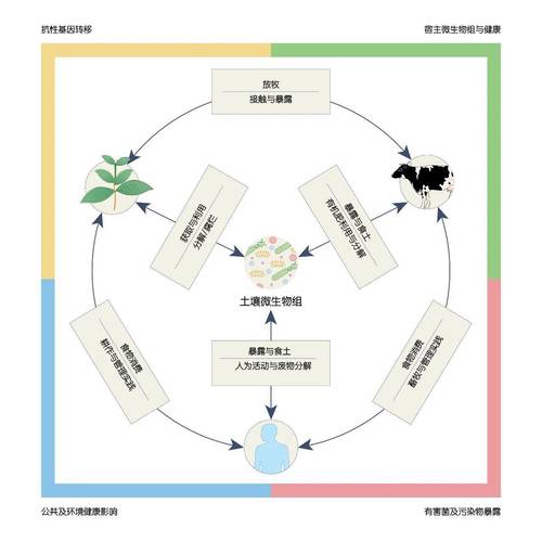家庭生态系统循环示意图