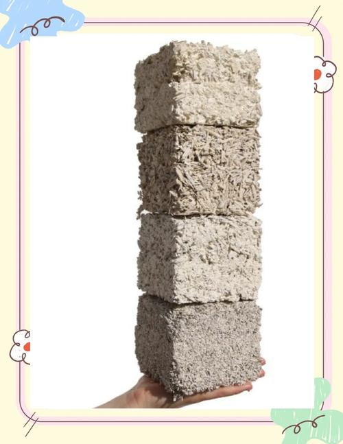 菌丝体生物砖建筑应用