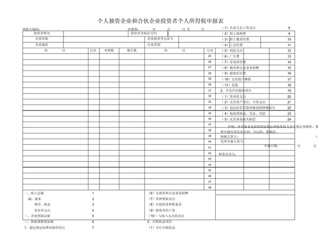 个人独资企业纳税申报表示例