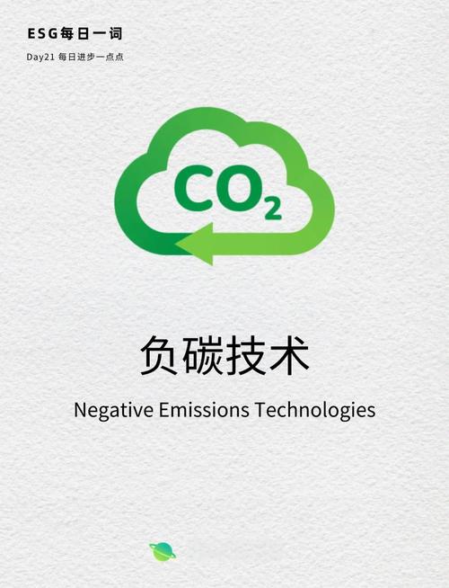 被忽略的负碳陷阱
