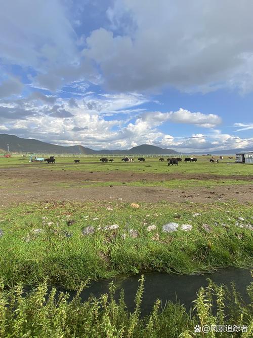 湖北南漳小香格里拉高山草甸远景