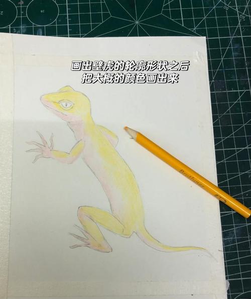 中小学生作业本手绘壁虎爬行类疑问
