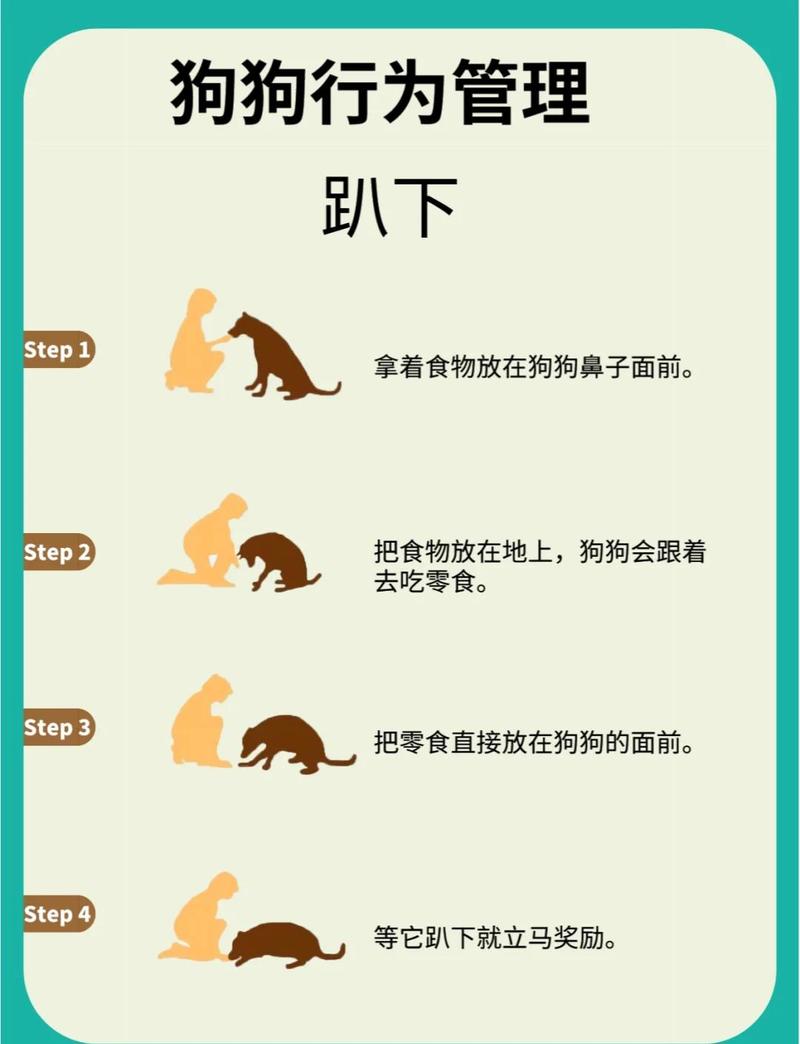 新手最高效的练习方法