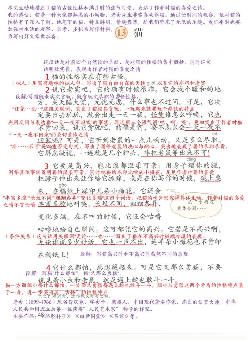“我也要有参与感”——猫的逻辑