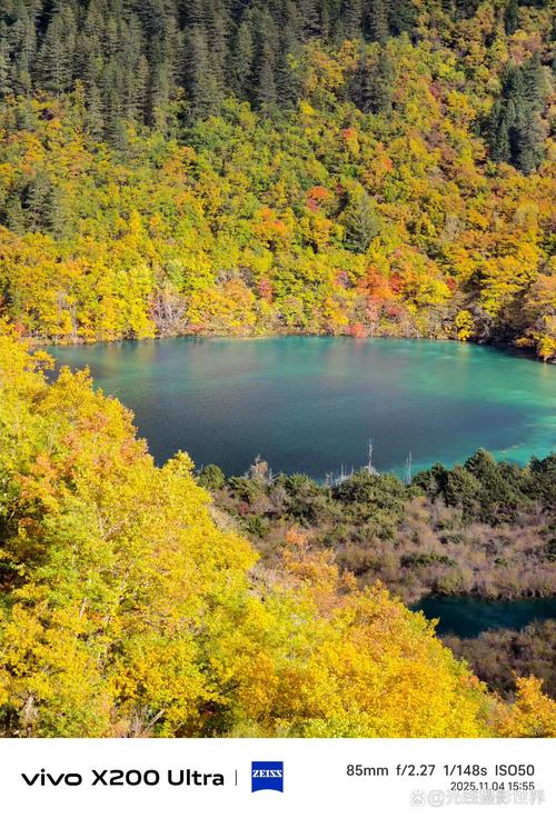 九寨沟五花海秋季彩林水景