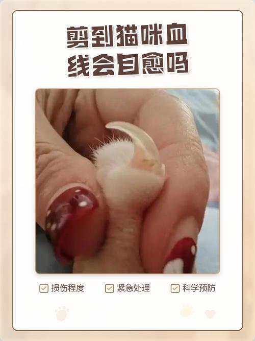 真剪到血线了，别乱慌