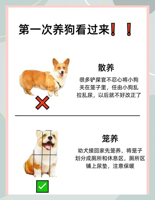 尺寸过小的宠物笼养错误示例